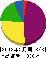 櫻木工業 貸借対照表 2012年5月期