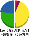 梅沢塗装工業 貸借対照表 2010年6月期