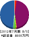 豊春園 貸借対照表 2012年7月期