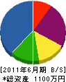 緑楓園 貸借対照表 2011年6月期