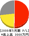 ペイントビルヅ・イシイ 損益計算書 2008年5月期