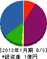 東亜グラウト 貸借対照表 2013年1月期