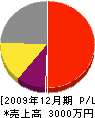 勝山一夫 損益計算書 2009年12月期