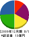 小坂工務店 貸借対照表 2009年12月期