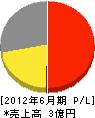 関西シグナルサービス 損益計算書 2012年6月期