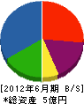 関川水道 貸借対照表 2012年6月期