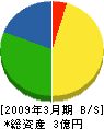 舛沢興業 貸借対照表 2009年3月期