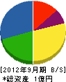 幸龍 貸借対照表 2012年9月期