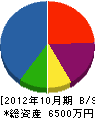 斎藤電機 貸借対照表 2012年10月期