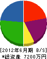 いのけん 貸借対照表 2012年6月期