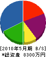 斎藤電器 貸借対照表 2010年5月期