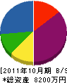 柴崎工業所 貸借対照表 2011年10月期