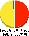 上沢建設 貸借対照表 2009年12月期