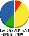 金澤建設 貸借対照表 2012年6月期