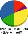 竹村瓦商会 貸借対照表 2010年9月期