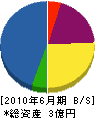 鈴木電機 貸借対照表 2010年6月期