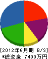 阪本興業 貸借対照表 2012年6月期