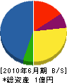 染谷商事 貸借対照表 2010年6月期