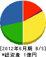 山田電機商会 貸借対照表 2012年6月期