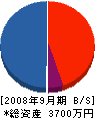 松村設備工業 貸借対照表 2008年9月期