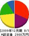 藤本建築 貸借対照表 2009年12月期