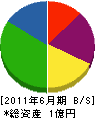 ヤマサキ電機産業 貸借対照表 2011年6月期