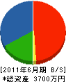 山本電気商会 貸借対照表 2011年6月期