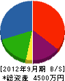 澤田工業 貸借対照表 2012年9月期