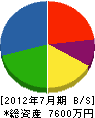藤岡工業 貸借対照表 2012年7月期