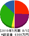 田中電設 貸借対照表 2010年5月期