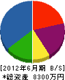 松田土木 貸借対照表 2012年6月期