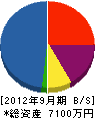 袴田配管 貸借対照表 2012年9月期