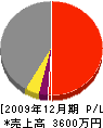 入井組 損益計算書 2009年12月期