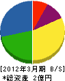 大信太工業 貸借対照表 2012年3月期