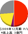 田中家 損益計算書 2009年12月期