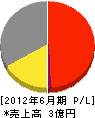 平山電気商会 損益計算書 2012年6月期