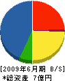 成田建設 貸借対照表 2009年6月期