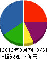 東京日化サービス 貸借対照表 2012年3月期