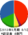 栃毛木材工業 貸借対照表 2012年6月期