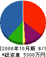 松田板金工作所 貸借対照表 2008年10月期
