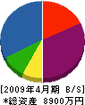 渡辺塗料 貸借対照表 2009年4月期