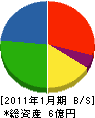 田村組 貸借対照表 2011年1月期