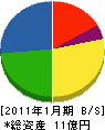 小西咲 貸借対照表 2011年1月期