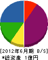 小山ビルサービス 貸借対照表 2012年6月期