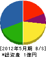 藤井電工 貸借対照表 2012年5月期