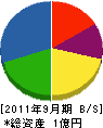 神多野塗装工業 貸借対照表 2011年9月期