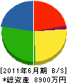 新姫組岡山事業所 貸借対照表 2011年6月期