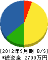 森田電気商会 貸借対照表 2012年9月期