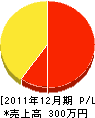 宮田塗装店 損益計算書 2011年12月期