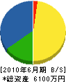 富士見商会 貸借対照表 2010年6月期